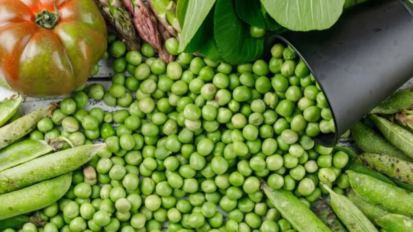 How to store green peas, 
