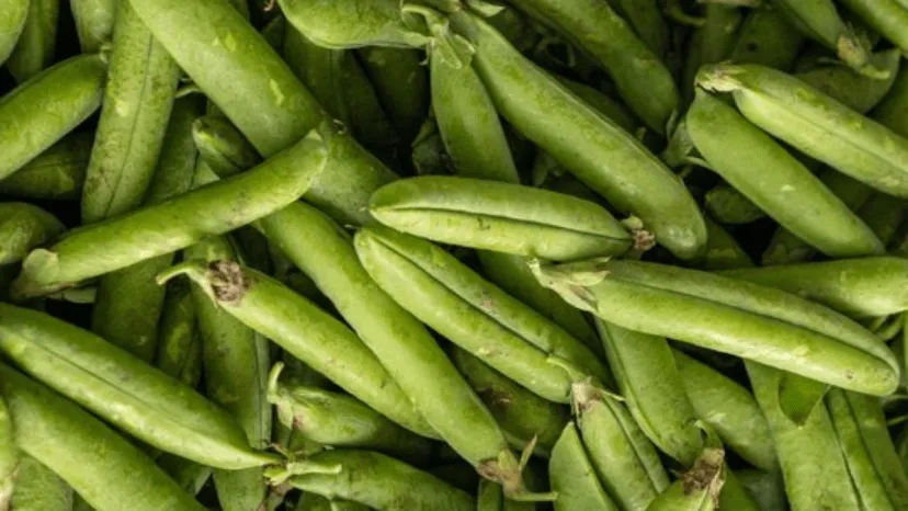 How to store green peas, 