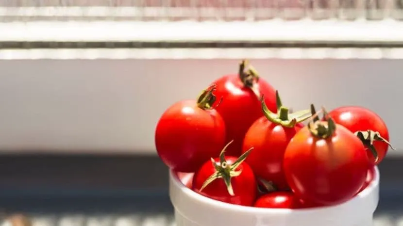 how to store tomatoes for long time