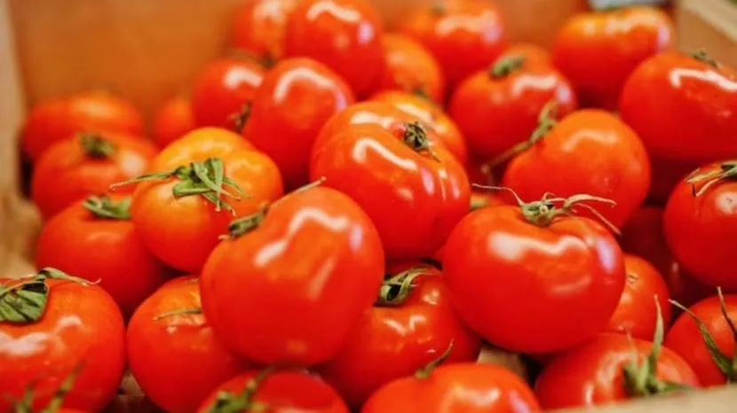 how to store tomatoes for long time