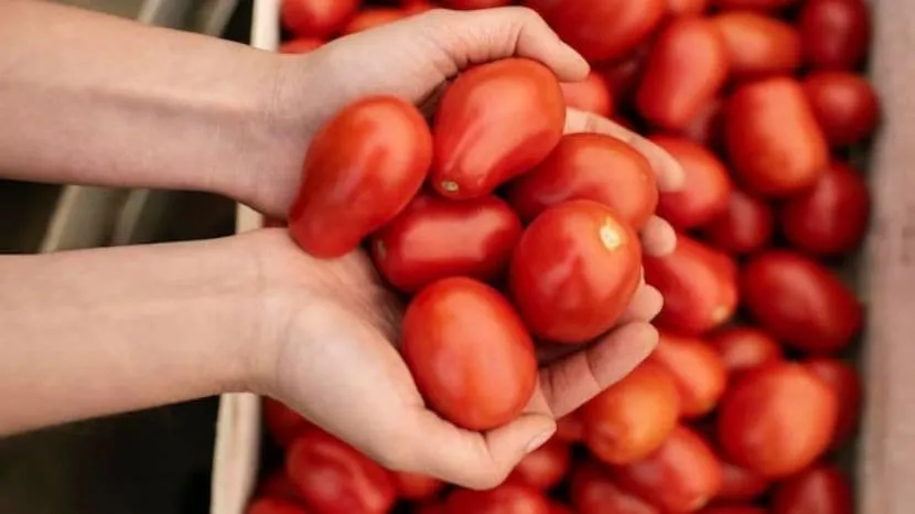 how to store tomatoes for long time