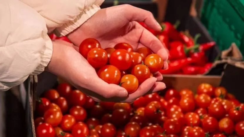 how to store tomatoes for long time