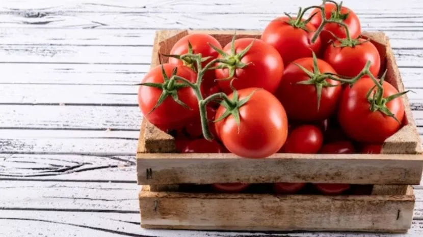 how to store tomatoes for long time