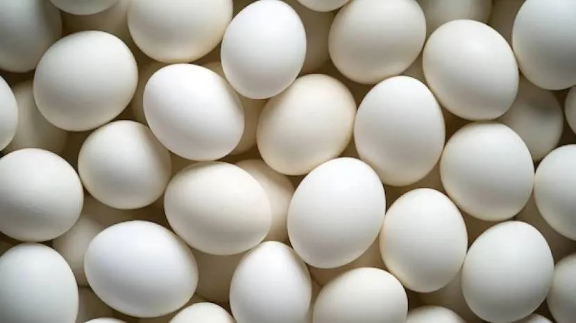 Should Eggs Be Kept In The Fridge Or Outside Know What Is The Right Way