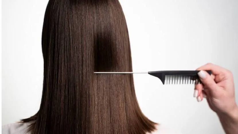 Six Tips To Get Rid Of Split Ends Maintaining Your Hair Health Follow These Easy Steps