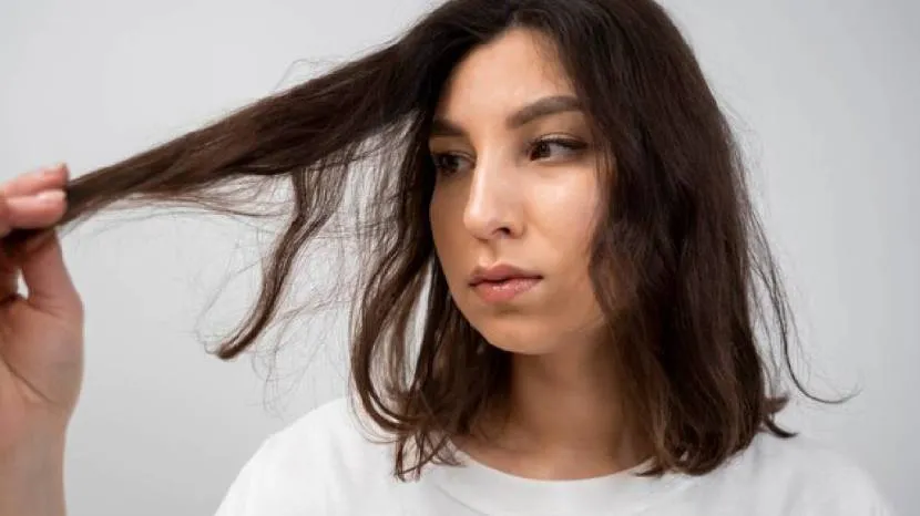 Six Tips To Get Rid Of Split Ends Maintaining Your Hair Health Follow These Easy Steps