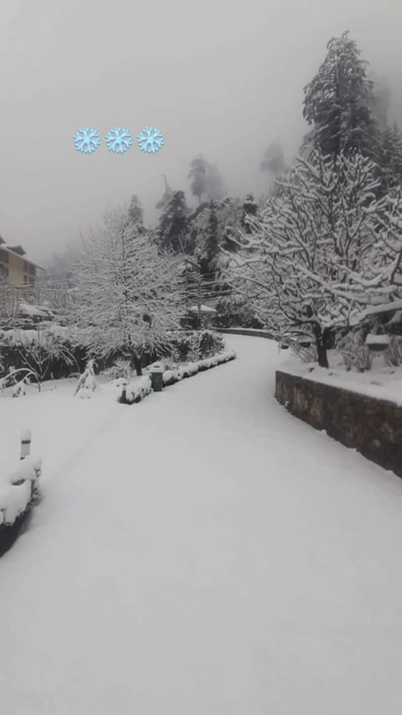 kangana manali house