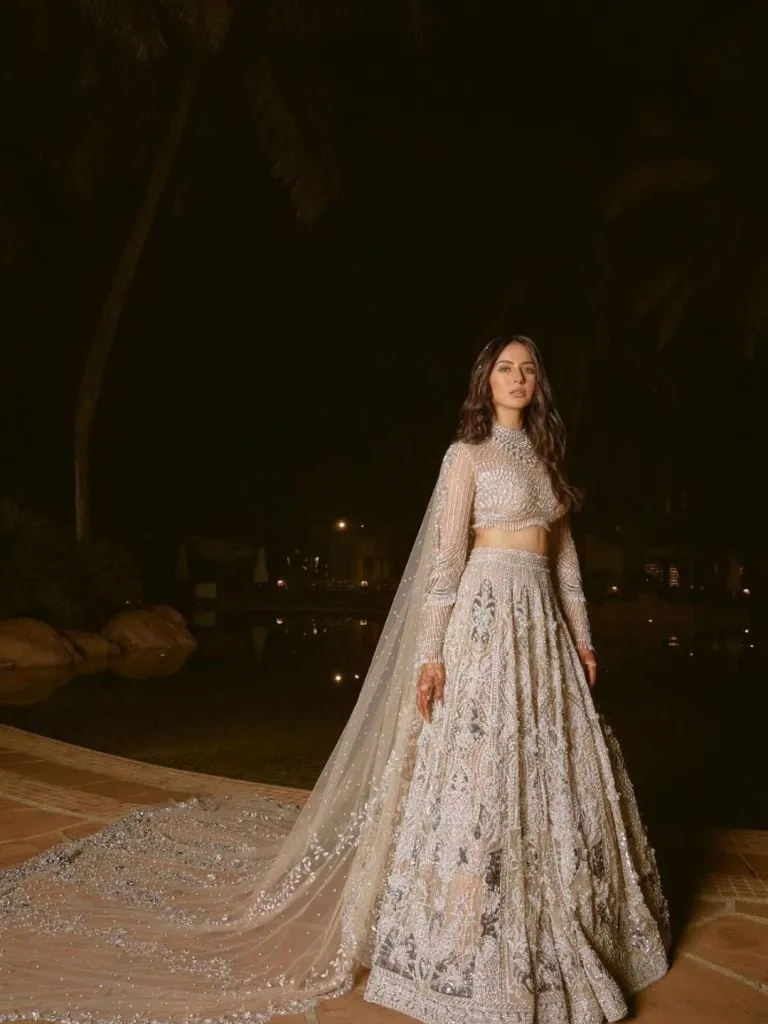 Rakul Preet Singh Jackky Bhagnani Wedding Photos gujarati news