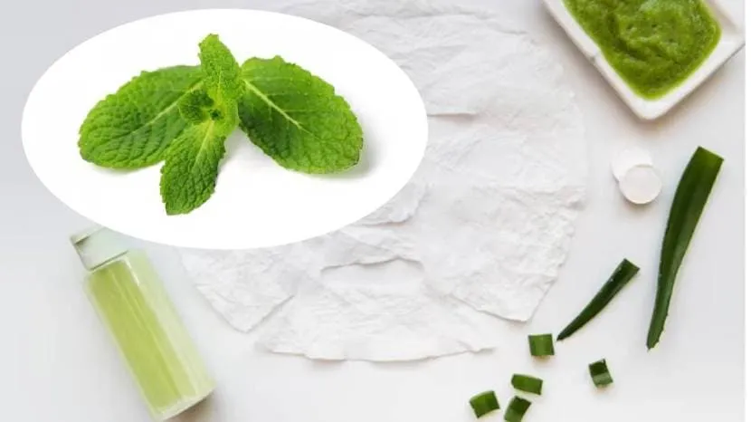 Tulsi homemade face pack