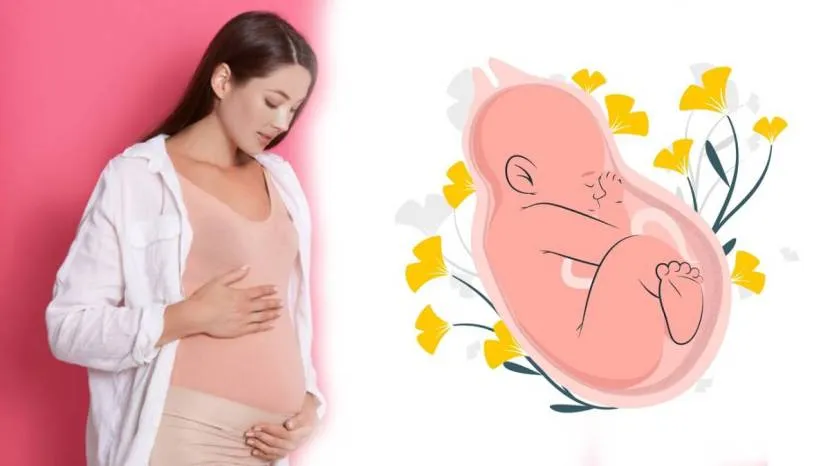 During Pregnancy Eating Chicken Know About Its Health Benefits And Precautions