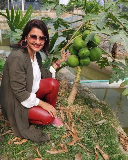 Rachna Banerjee