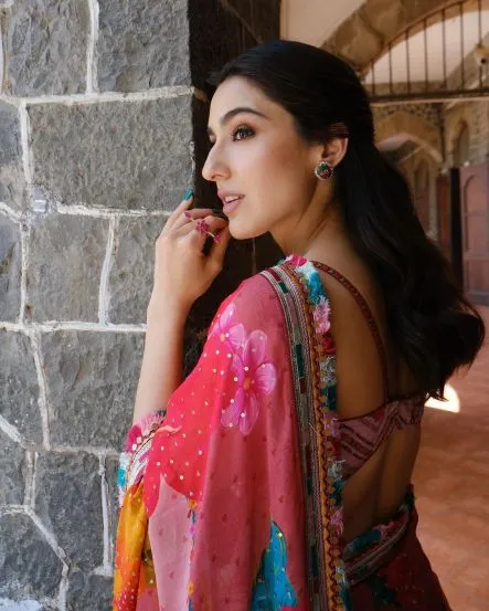 sara-ali-khan-saree-bag-price