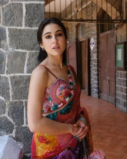 sara-ali-khan-saree-bag-price