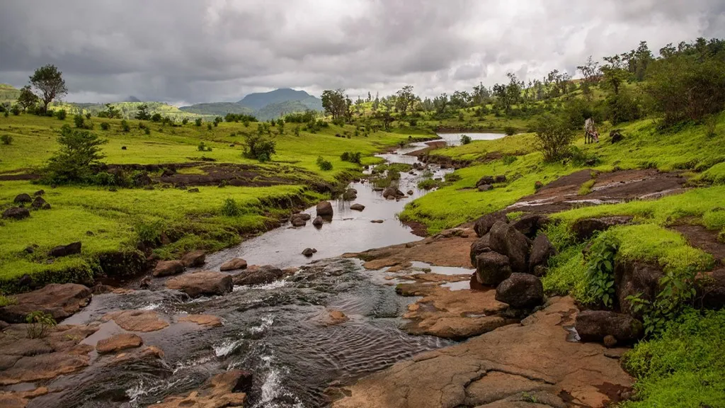  Gujarat Hill Station List | Dang Hill Station List | Saputara Hill Station List | Don Hill Station List | wilson hills | Gujarat famous hill station