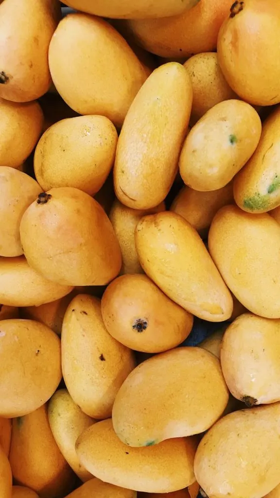mango news