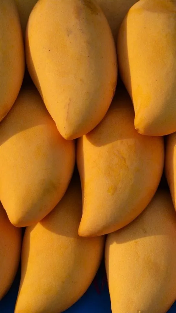 Sweet Mango buying tips