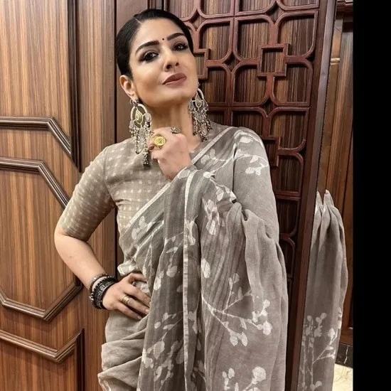 raveena tandon web series