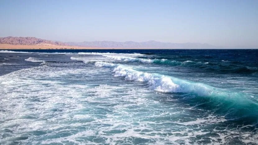 Why does the ocean waves formed in the sea
