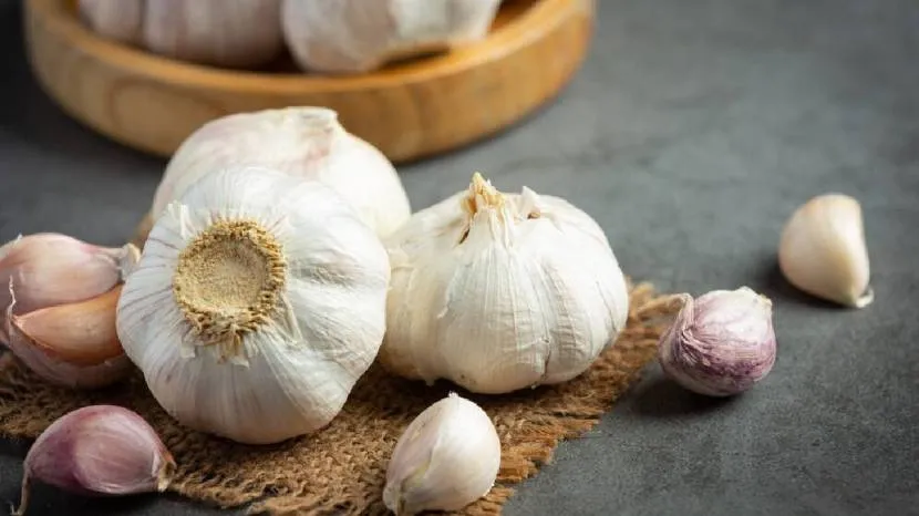 Can eating raw garlic reduce cholesterol Read what the experts say 100 grams of garlic contains these nutrients 