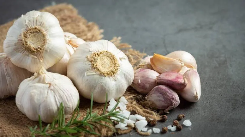 Can eating raw garlic reduce cholesterol Read what the experts say 100 grams of garlic contains these nutrients 