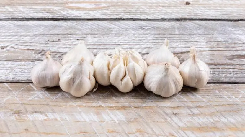 Can eating raw garlic reduce cholesterol Read what the experts say 100 grams of garlic contains these nutrients