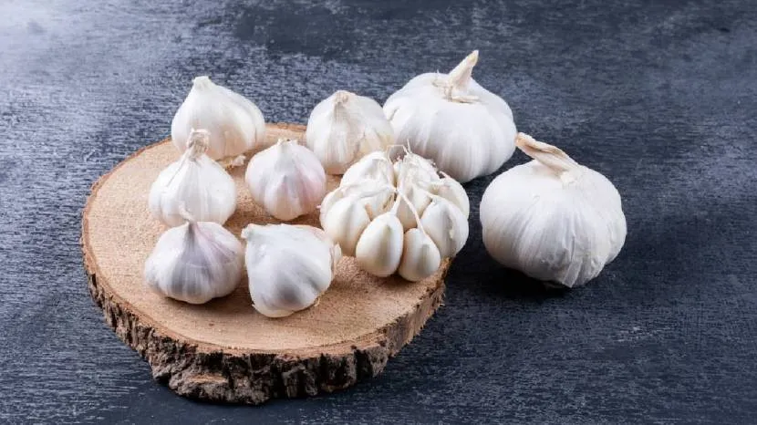 Can eating raw garlic reduce cholesterol Read what the experts say 100 grams of garlic contains these nutrients 