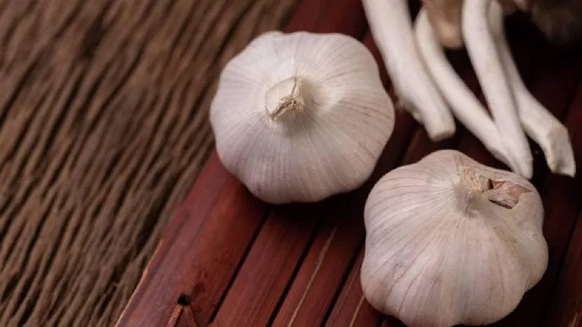 Can eating raw garlic reduce cholesterol Read what the experts say 100 grams of garlic contains these nutrients 