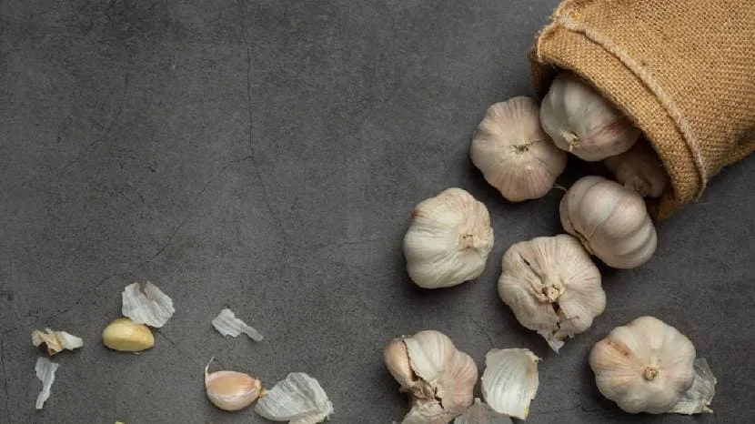 Can eating raw garlic reduce cholesterol Read what the experts say 100 grams of garlic contains these nutrients 