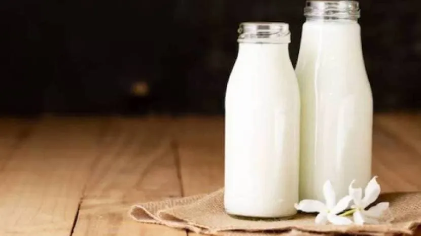 rich source of protein and calcium milk spike your blood sugar levels or don't read what expert says