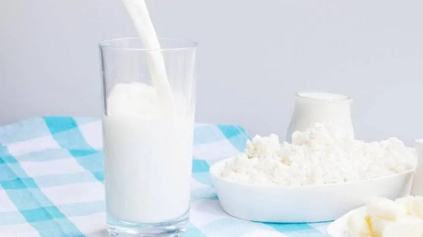 rich source of protein and calcium milk spike your blood sugar levels or don't read what expert says