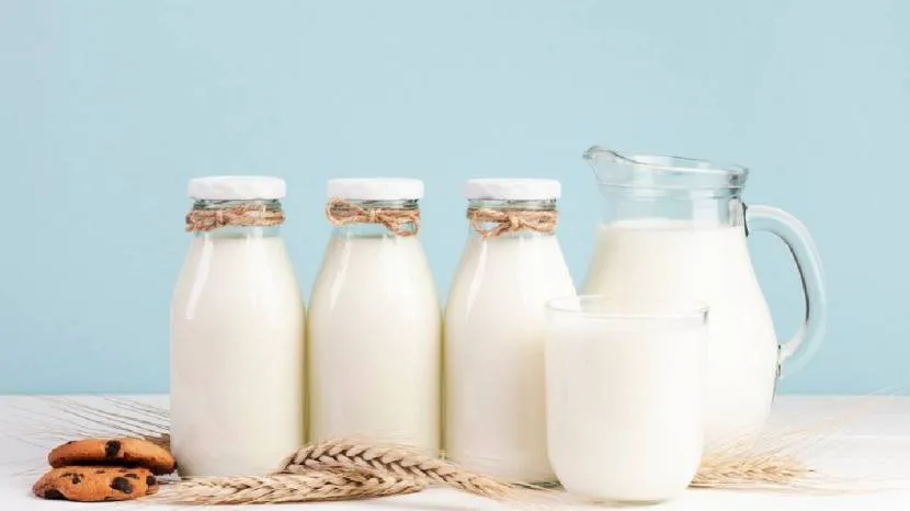 rich source of protein and calcium milk spike your blood sugar levels or don't read what expert says