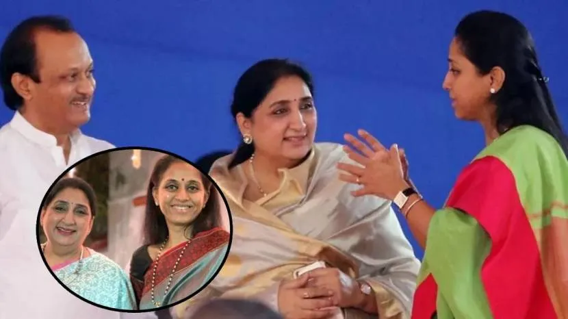 Sunetra Pawar Is Millionaire Has More Property and Money Than Ajit Pawar Loksabha Elections Baramati Candidate Check Wealth