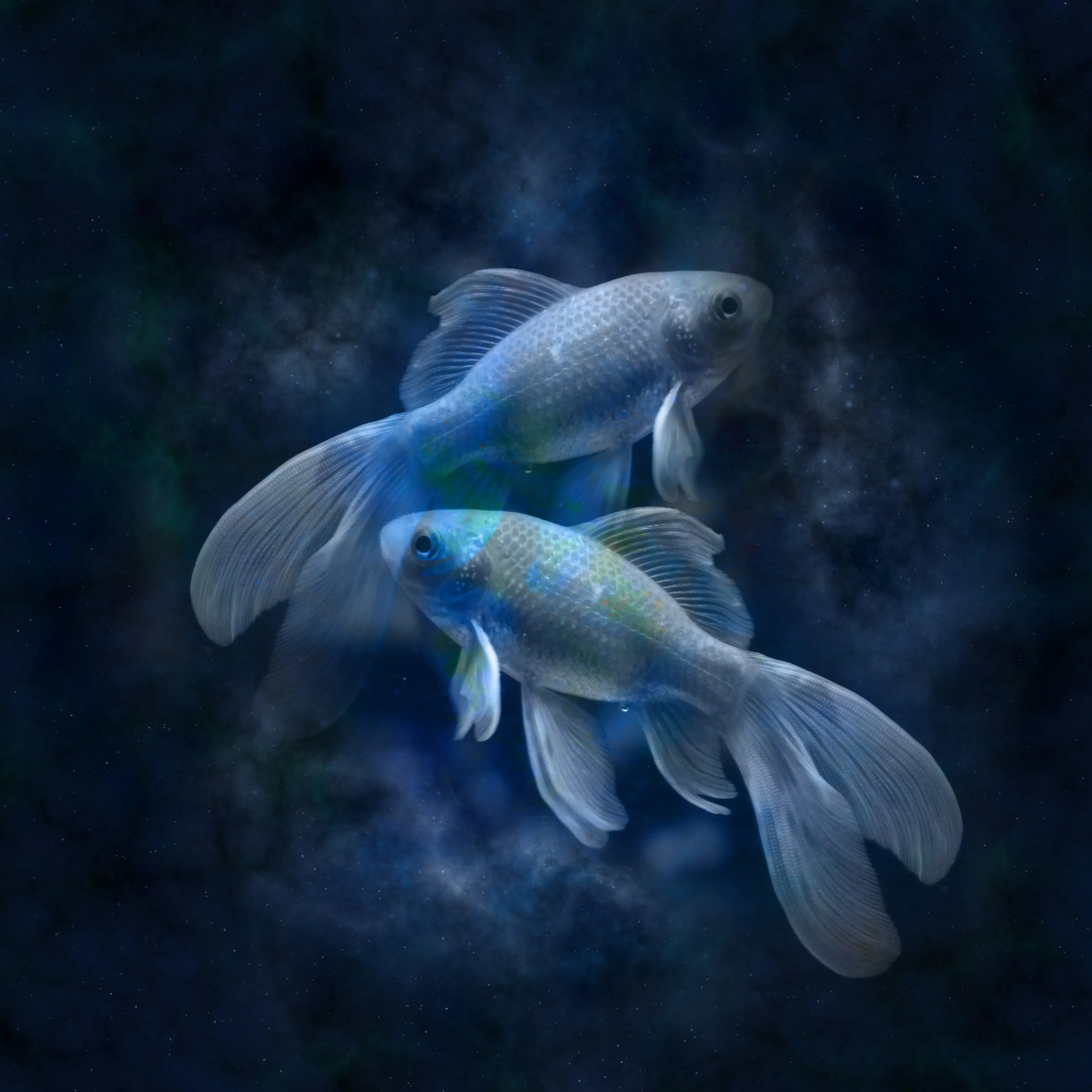 daily-horoscope (12)