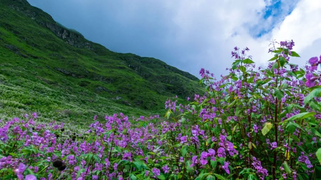 top 10 travel destinations in india | best tourist places for June July | Ladakh | Valley of Flowers | Dalhousie | Udaipur | Lonavala Coorg | summer vacation tour places