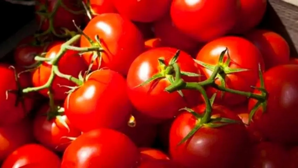 Tomato for tan removal - 2