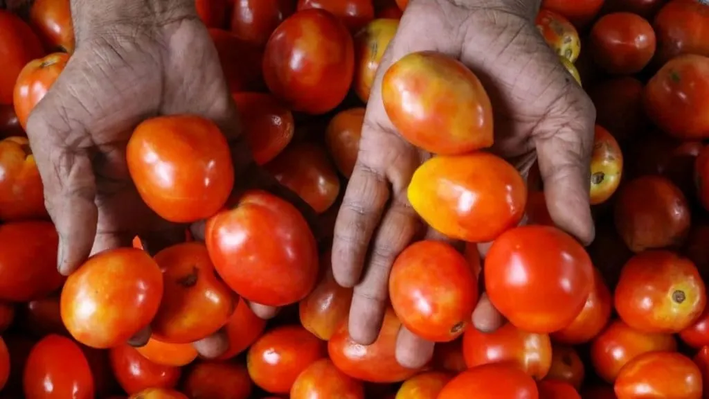 Tomato for tan removal - 3
