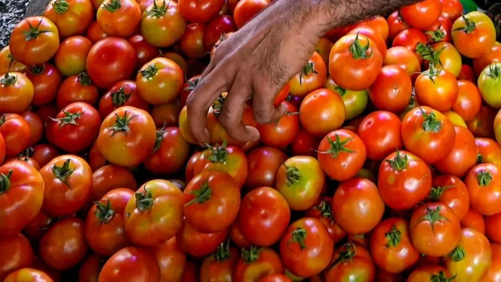 Tomato for tan removal - 5