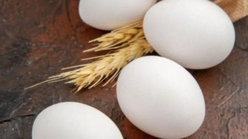 benefits of eating eggs in summer