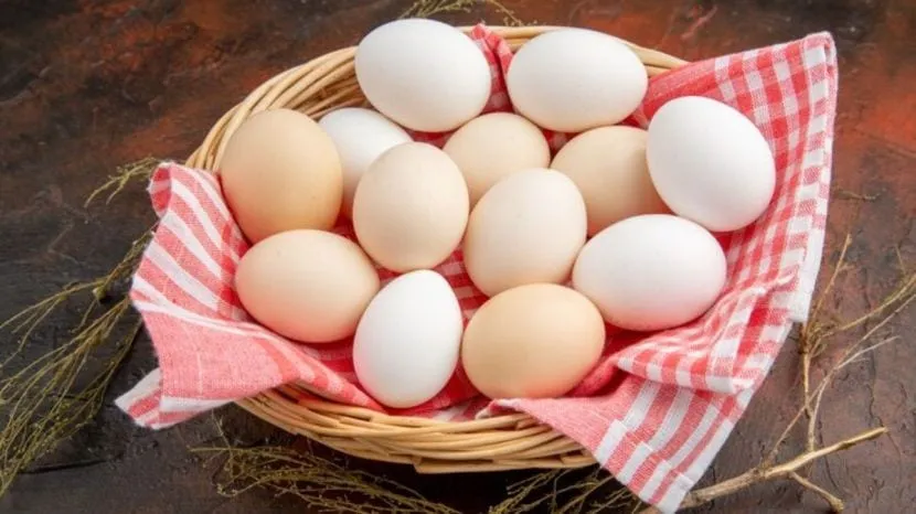 benefits of eating eggs in summer