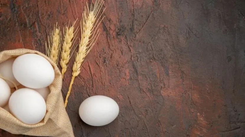 benefits of eating eggs in summer