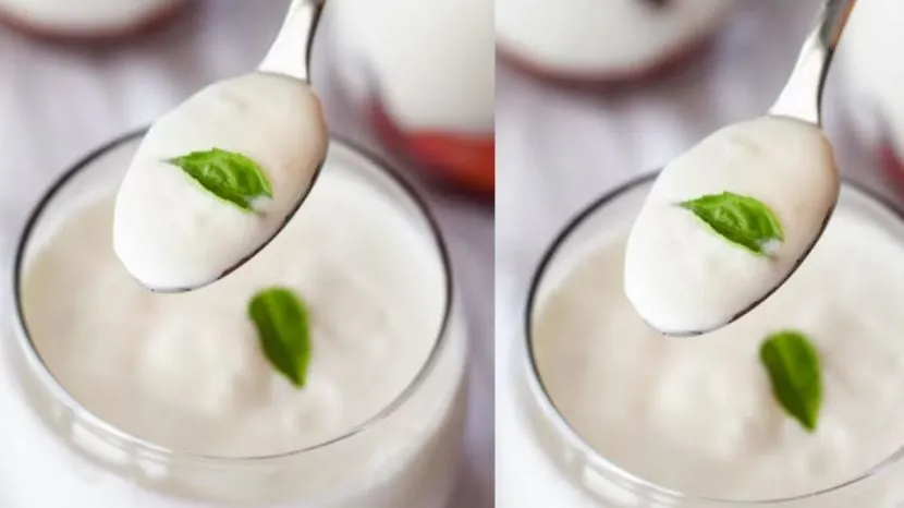 Homemade Dahi recipe 