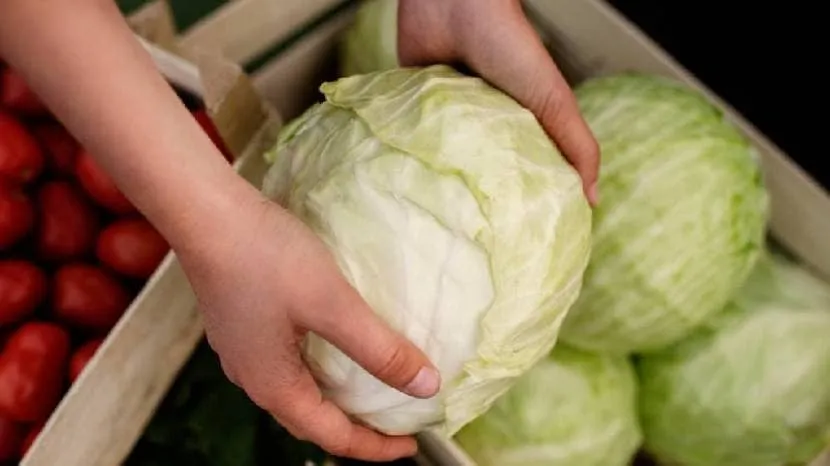 Benefits Of Cabbage For Face Know Process Of Making Facepack
