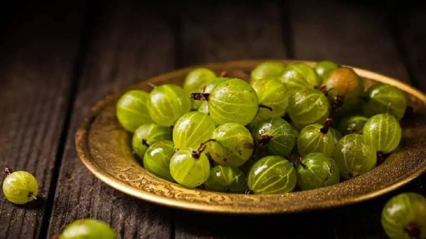 Amla Health Benefits In Summer