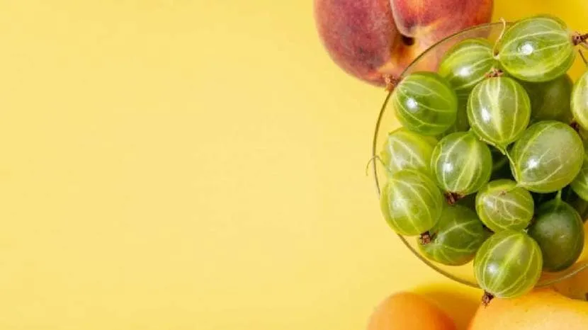 Amla Health Benefits In Summer