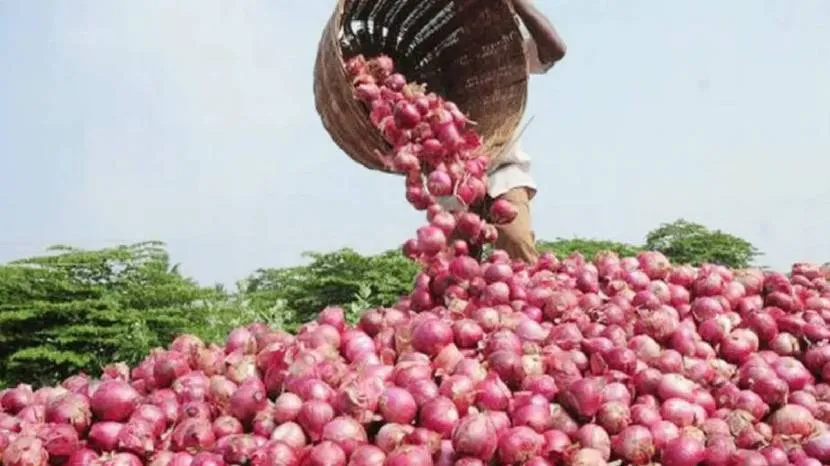 100 Gram Onion has magical benefits