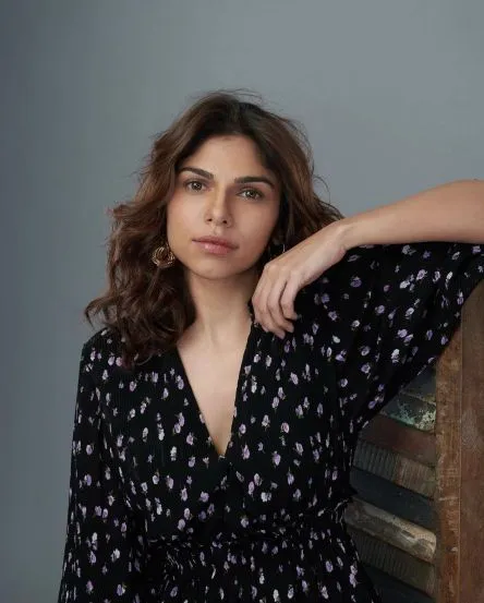 Sharmin Segal husband Aman Mehta net worth 