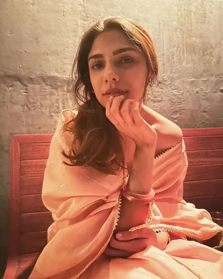 Sharmin Segal husband Aman Mehta net worth
