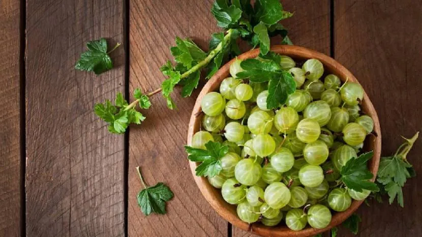Amla Health Benefits In Summer