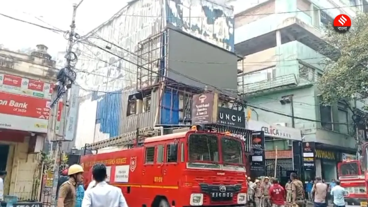 publive-image