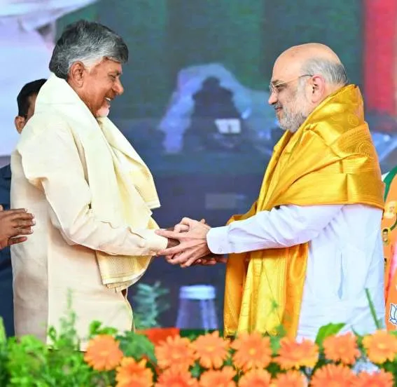 chandrababu-naidu-total=networth-property